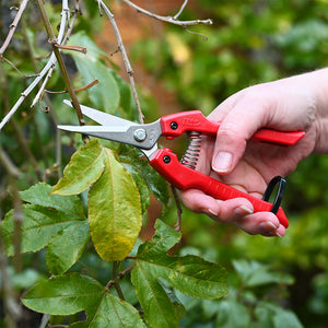 ARS SE-45 Pruning Shears