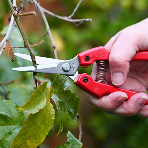 ARS SE-45 Pruning Shears