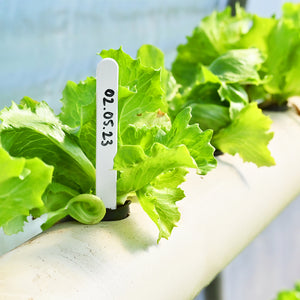 Plastic Plant Labels and Garden Marker