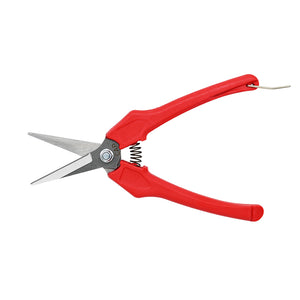 Long-Nose Snip