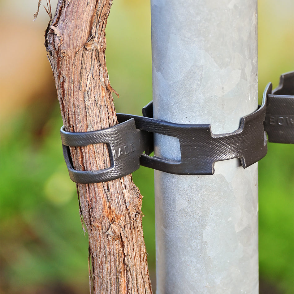 Chainlock Tree Ties - Plastrip