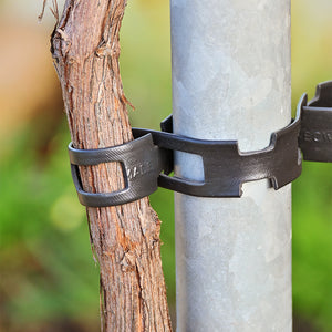 Chainlock Tree Ties