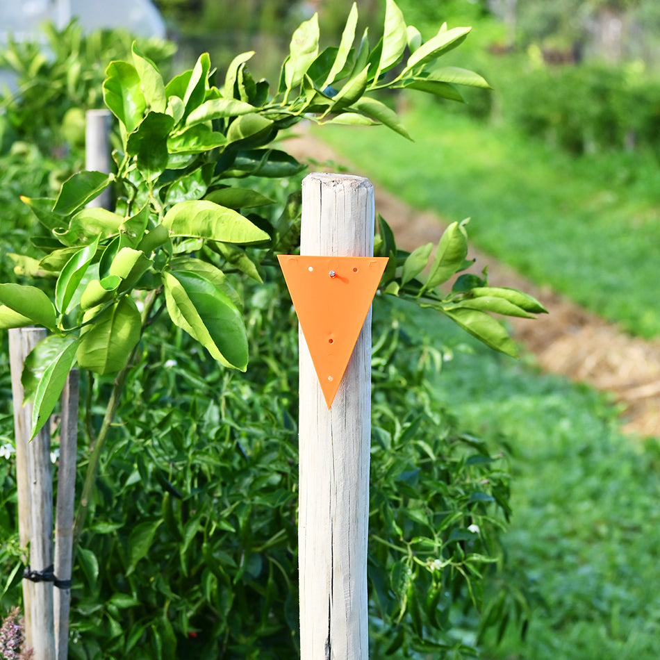 Triangle Part Marker Triangle Trail Markers - Plastrip