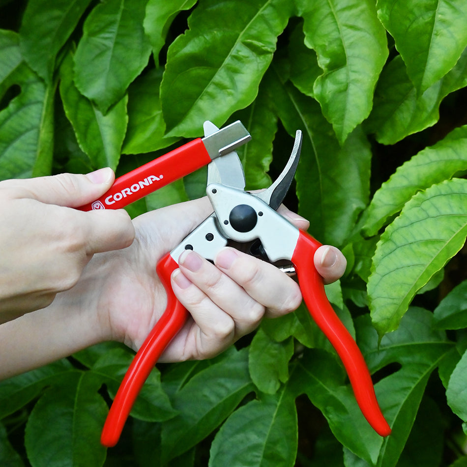 Corona Sharpening Tool - Plastrip