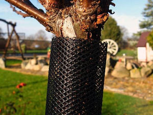 Pest Tree Guards