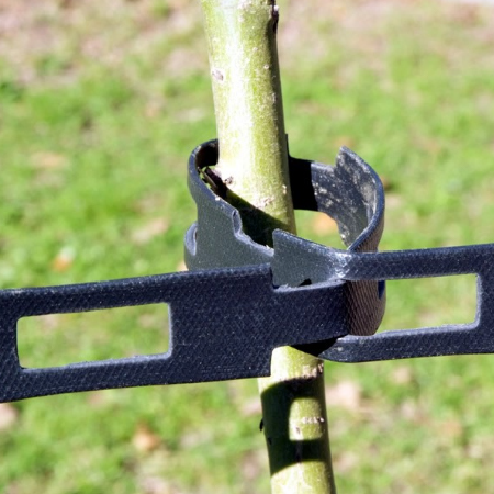 Chainlock Tree Ties - Plastrip